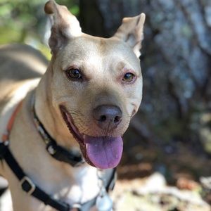 Meet your Posher, Kristy